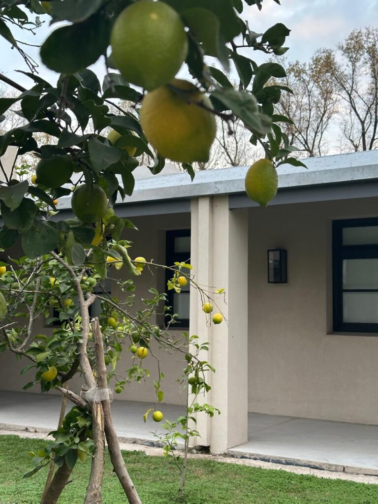 Foto de "Casa de María"